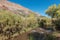 Jemez River in the Jemez Mountains, New Mexico