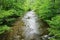 Jennings Creek a Popular Trout Stream