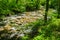 Jennings Creek a Popular Trout Stream - 2