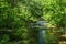 Jennings Creek a Popular Trout Stream - 4