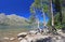 Jenny Lake in Grand Teton