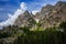 Jenny Lake Grand Teton Views