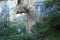 Jenolan Caves Carlotta Arch