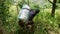 JEPARA, INDONESIA - OCTOBER 04 2020 : A view from behind a woman holding a kapok in a sack in the middle of the forest