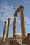 Jerash Columns