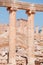 Jerash, Gerasa, skyline, columns, ruins, archeology, Jordan, Middle East