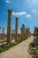 Jerash historic ruins stairs and colums detail