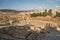 Jerash Roman ruin and ancient city in Jordan, Arab