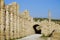 Jerash Ruins - Amman - Jordan
