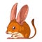 A Jerboa, isolated vector illustration. A cute cartoon picture of an anxious jerboa. An animal sticker. Simple drawing of a rodent