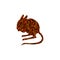 Jerboa rodent mammal color silhouette animal