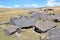 Jermuk, Armenia, stones with petroglyphs of the 7