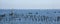 Jersey Sailboats Panorama
