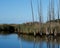 Jersey Shore Marshes and Wetlands