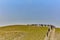 Jerusalem - 10.04.2017: Group of people trekking in the mountais near Jerusalem