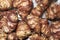 Jerusalem artichokes closeup