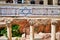 Jerusalem Israel. Roman columns in jewish quarter