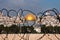 Jerusalem Through Razor Wire