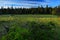 Jeseniky mountain, Praded hill, spruce forest and marsh meadow, summer morning with blue sky with white clouds, Morava,