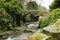 Jesmond Dene stone bridge