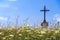 Jesus Christ on old wayside cross in meadow.