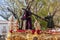 Jesus with the cross, Holy Week in Seville, brotherhood of San Roque