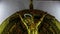 Jesus dying on the cross. Cross of Jesus inside Catholic Church. Concept of the Crucifixion of Christ. Camera movement