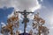 Jesus expiring on the cross, holy week in Seville, Brotherhood of El Cachorro