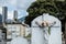 JesusChrist Stone adorned with multicolor flowers like a crown into Central Cemetery.