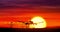 Jet airplane silhouette landing on sunset