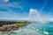 Jet d`Eau fountain on Leman lake with group of white swan and du