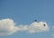 Jet planes show aerobatics at air show