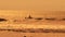 Jet ski rides on the sea waves at sunset. Two men actively spend their vacation at the resort. Human silhouette on the
