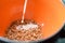 A jet of white milk is poured into a deep bowl of buckwheat.