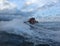 Jetski on the sea. Speed and adrenaline.