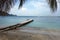 A jetty at admiralty bay, bequia