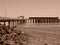 The Jetty In Derby, Western Australia, In Sepia Tone