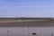 Jetty on the Gambia river