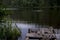 Jetty on the lake, in karelia