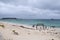 Jetty Ruins at Hamelin Bay