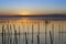 Jetty of saler lake at sunset, in the lagoon