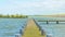 Jetty in a stormy lake in sunlight