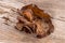 Jew`s ear or Auricularia auricula judae on an old wood background. top view,flat lay