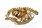 Jewellery or jewelry  on white background, decorative items worn for personal adornment, such as brooches, rings,