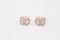 Jewelry red rose gold diamond earrings on the white background