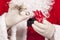 Jewelry ring gift Santa Claus