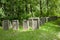 Jewish Cemetary - Lezajsk - Poland