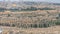 The Jewish Cemetery on the Mount of Olives, the Dome of the Rock. Most important world holy places. Panorama of the old city
