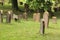 Jewish Cemetery in Worms or Heiliger Sand, in Worms, Germany