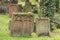 Jewish Cemetery in Worms or Heiliger Sand, in Worms, Germany